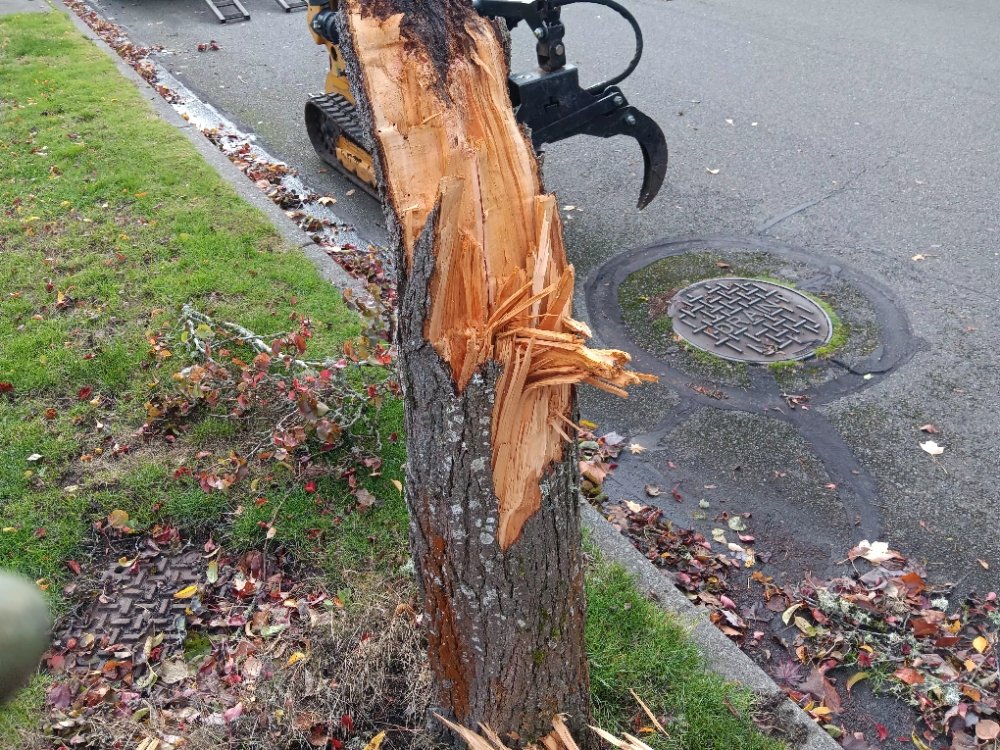 Stump being removed with mechanical grapple equipment